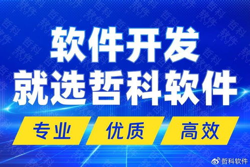 解碼技術開發(fā)新高度 國內頂尖軟件開發(fā)公司的核心優(yōu)勢與市場制勝之道